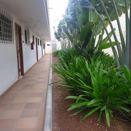 El Apartamento De Concha San Agustín Екстериор снимка